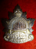 34-9, Winnipeg Forestry Corps Officer's Silvered Cap Badge   